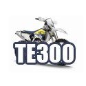 TE300